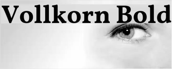 Vollkorn Bold Polices examples
