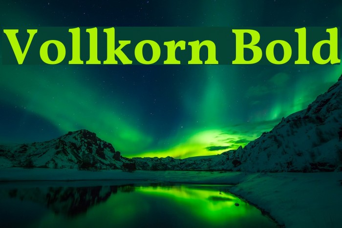 Vollkorn Bold Schriftart examples