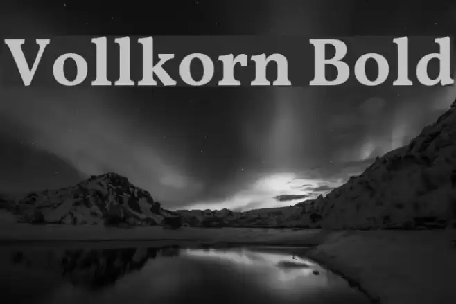 Vollkorn Bold Polices examples