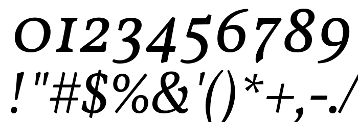 Vollkorn Italic Font OTHER CHARS