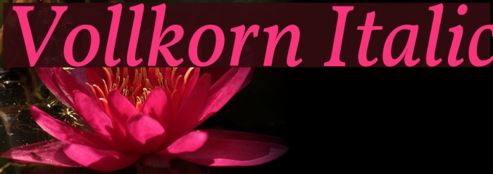 Vollkorn Italic Font examples