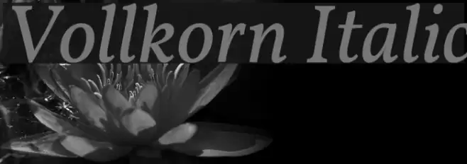 Vollkorn Italic Шрифта examples