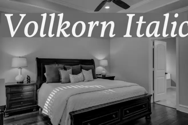 Vollkorn Italic Шрифта examples