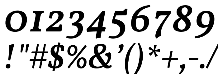 Vollkorn Medium Italic Font OTHER CHARS