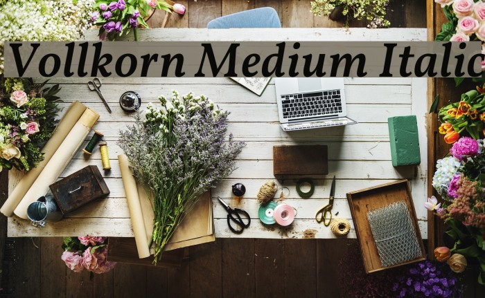 Vollkorn Medium Italic Font examples