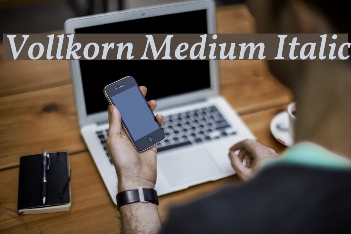 Vollkorn Medium Italic Font examples