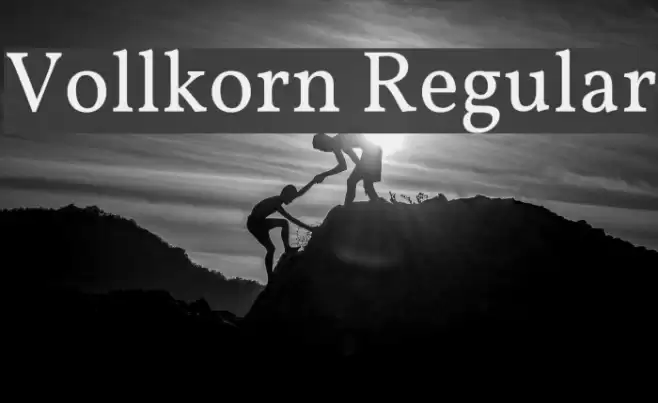 Vollkorn Regular Font examples