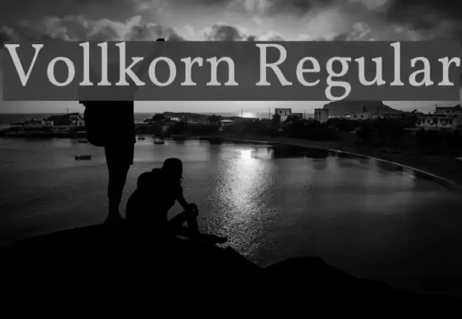Vollkorn Regular Font examples