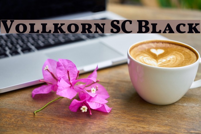 Vollkorn SC Black Font examples
