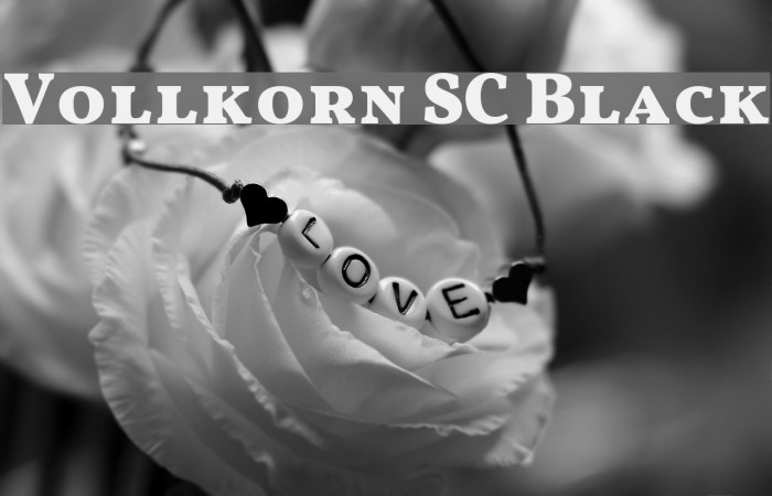 Vollkorn SC Black Font examples