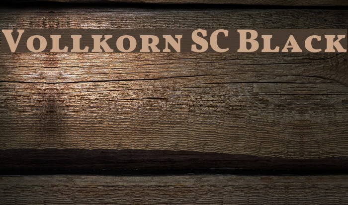 Vollkorn SC Black Font examples