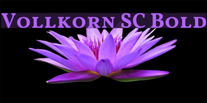 Vollkorn SC Bold Font examples