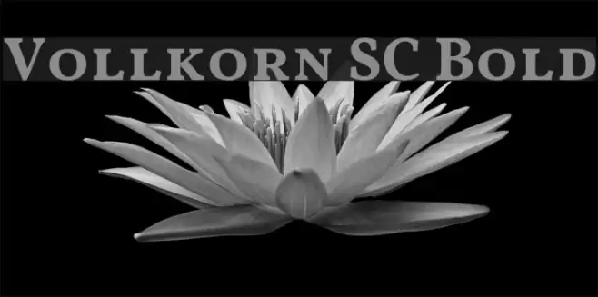 Vollkorn SC Bold examples