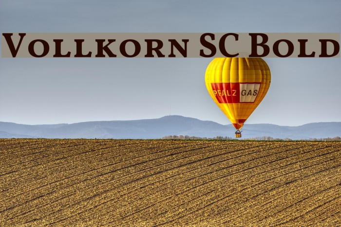 Vollkorn SC Bold Font examples