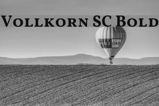 Vollkorn SC Bold examples