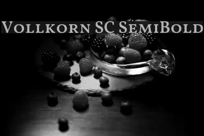 Vollkorn SC SemiBold Font examples