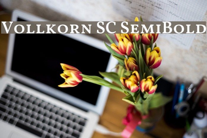 Vollkorn SC SemiBold Font examples