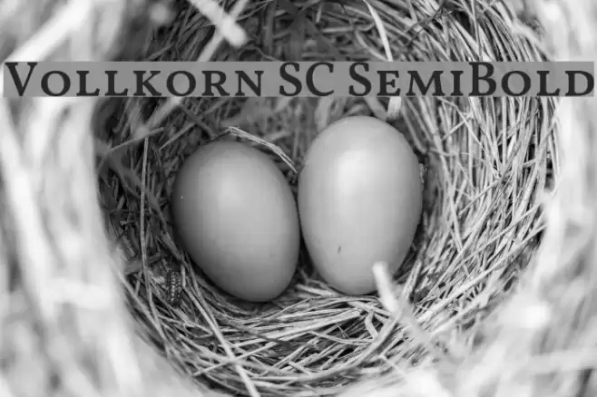 Vollkorn SC SemiBold Font examples