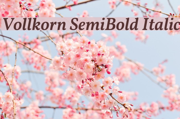 Vollkorn SemiBold Italic Font examples