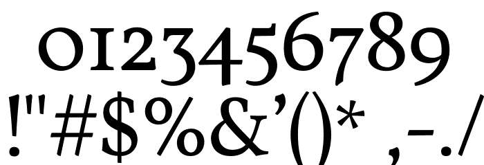 Vollkorn Font OTHER CHARS