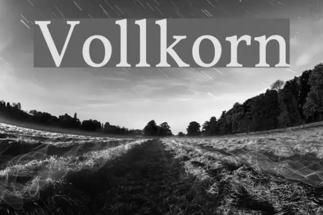Vollkorn Font examples
