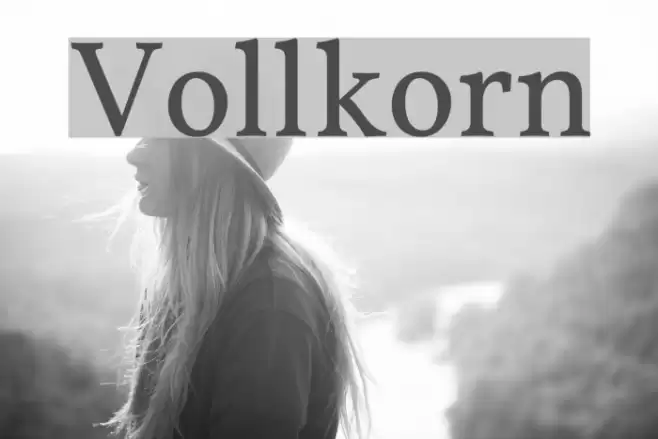 Vollkorn Font examples