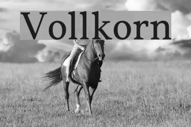 Vollkorn Font examples