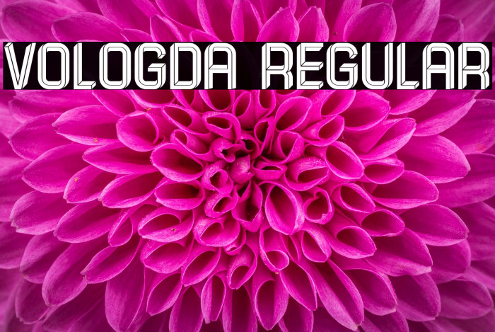 Vologda Regular Example 1