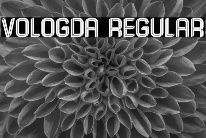 Vologda Regular Font examples