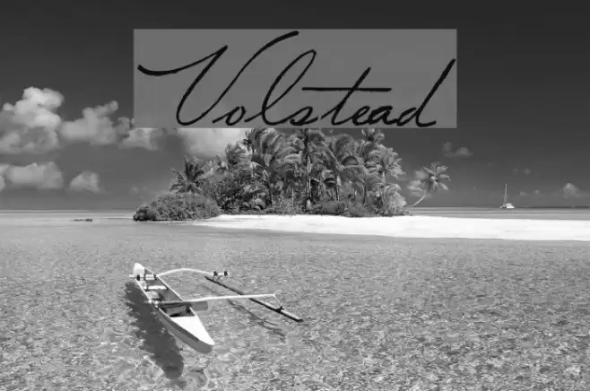 Volstead Font examples