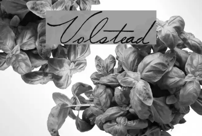 Volstead Font examples