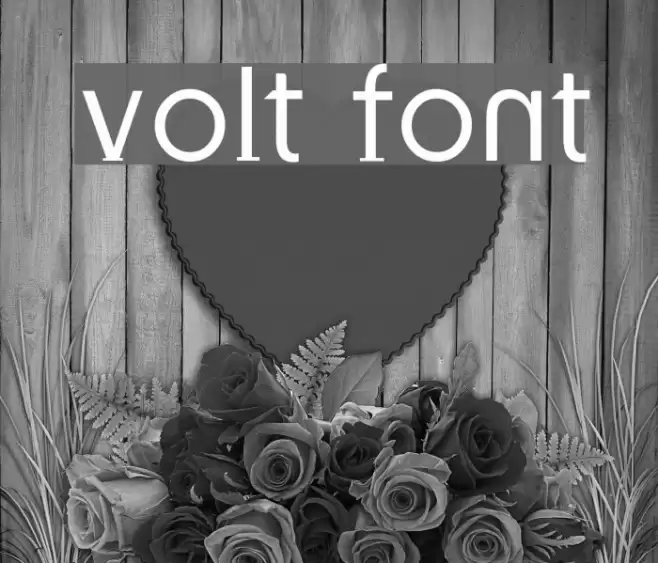 Volt Font examples