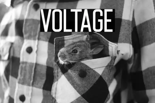 Voltage Font examples