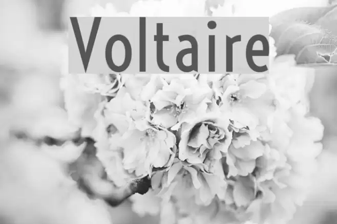 Voltaire Font examples