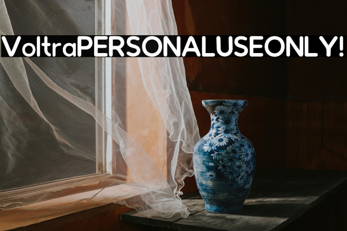 Voltra PERSONAL USE ONLY! Example 2