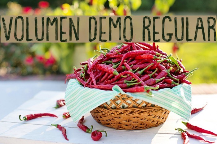 Volumen DEMO Regular Example 3