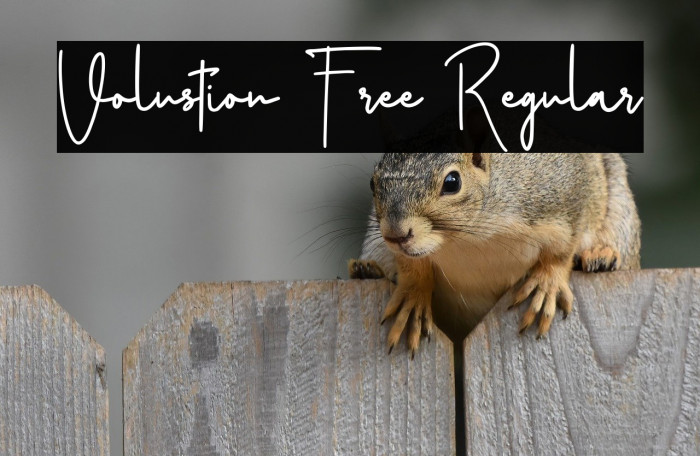 Volustion Free Regular Example 1
