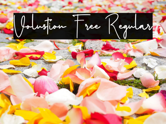 Volustion Free Regular Example 3