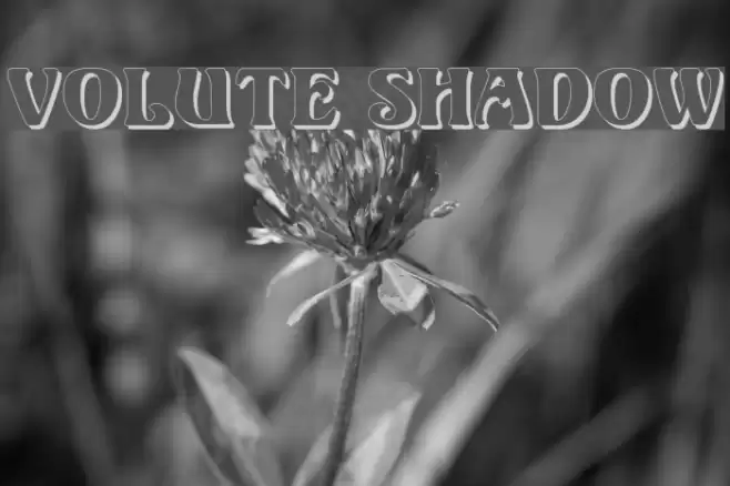 Volute Shadow Font examples
