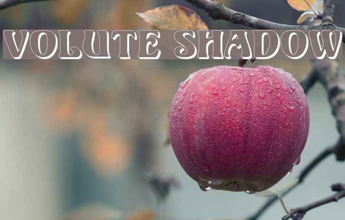 Volute Shadow Font examples