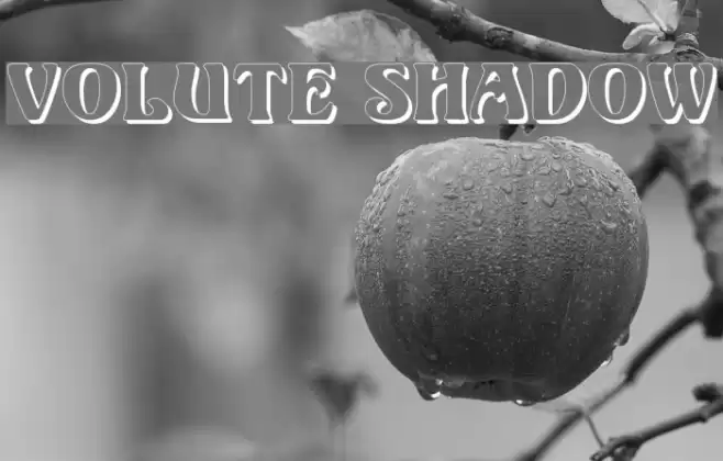 Volute Shadow Font examples