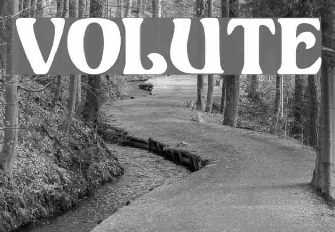 Volute Polices examples