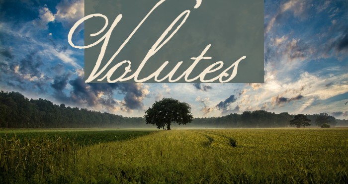 Volutes Font examples