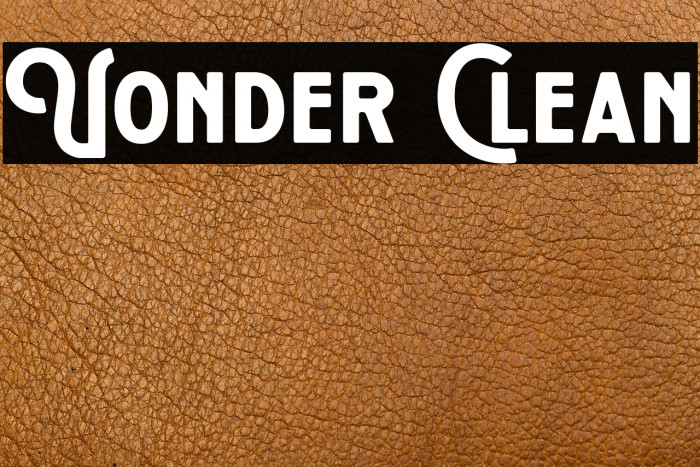 Vonder Clean Example 1