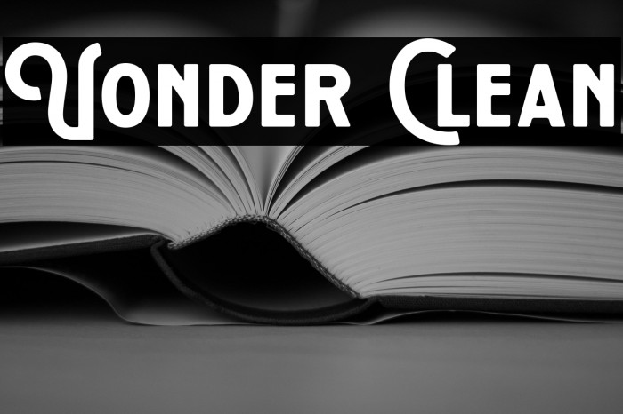 Vonder Clean Example 2