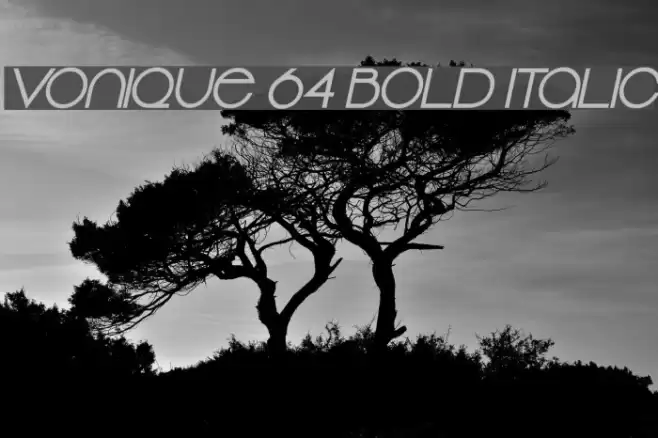 Vonique 64 Bold Italic Font examples