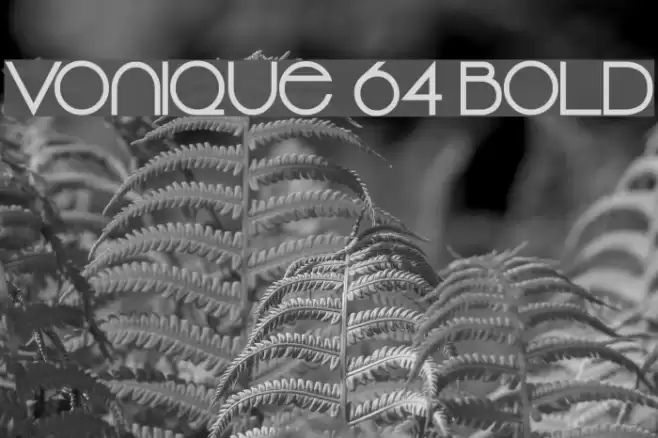 Vonique 64 Bold Font examples