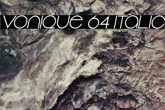 Vonique 64 Italic Fuentes examples