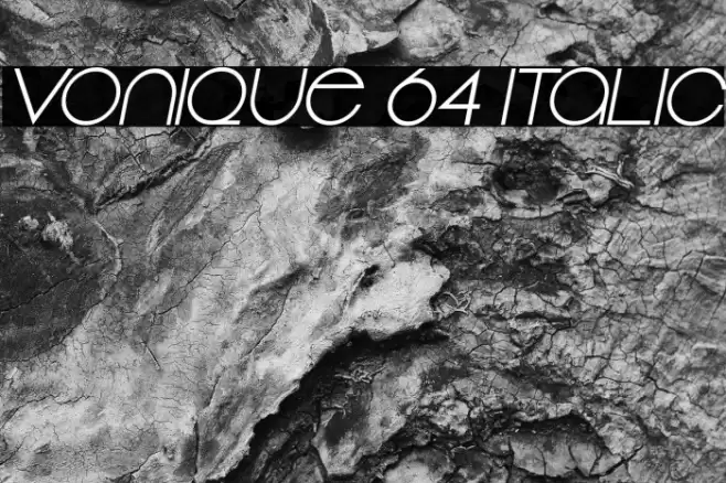 Vonique 64 Italic Font examples