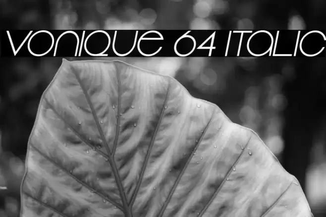 Vonique 64 Italic Font examples